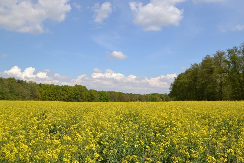 Entlang der Radwanderwege