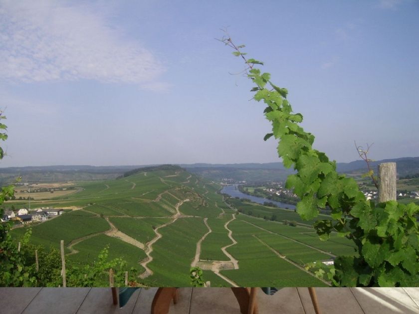 Ferienwohnung 1 Classic mit Balkon im Weingut Harald Ludwig 