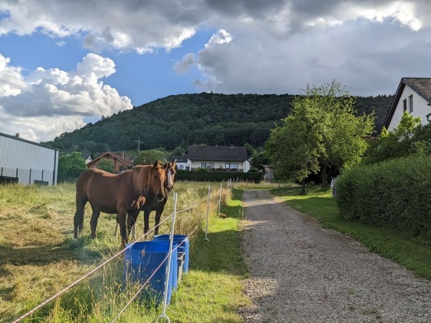 Große Ferienwohnung 2 Cuvee für bis zu 6 im Weingut Harald Ludwig