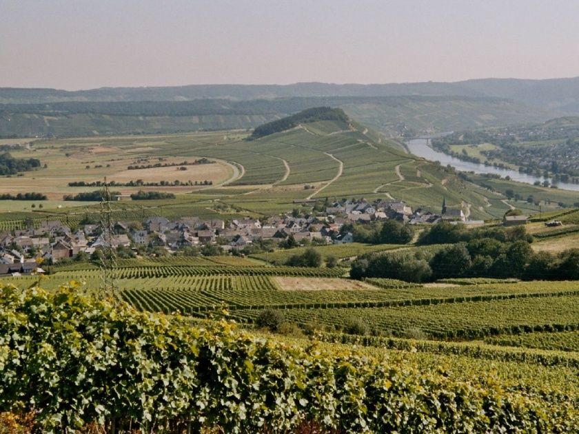 Große Ferienwohnung 2 Cuvee für bis zu 6 im Weingut Harald Ludwig