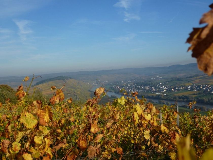 Große Ferienwohnung 2 Cuvee für bis zu 6 im Weingut Harald Ludwig