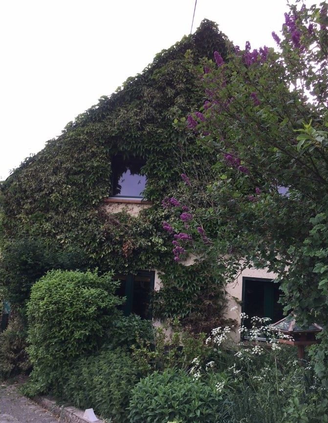 Ferienhaus Heides grüne Hütte