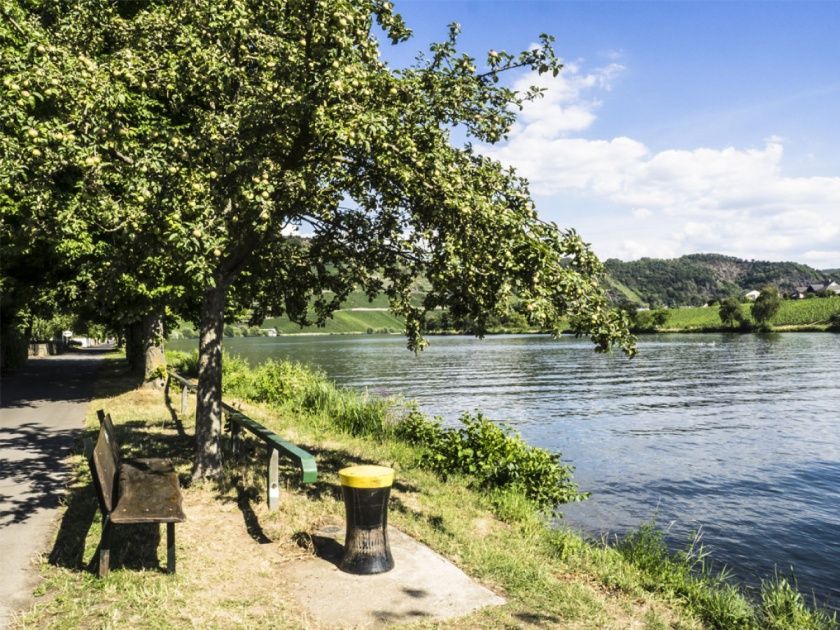 Idyllisches Moselufer