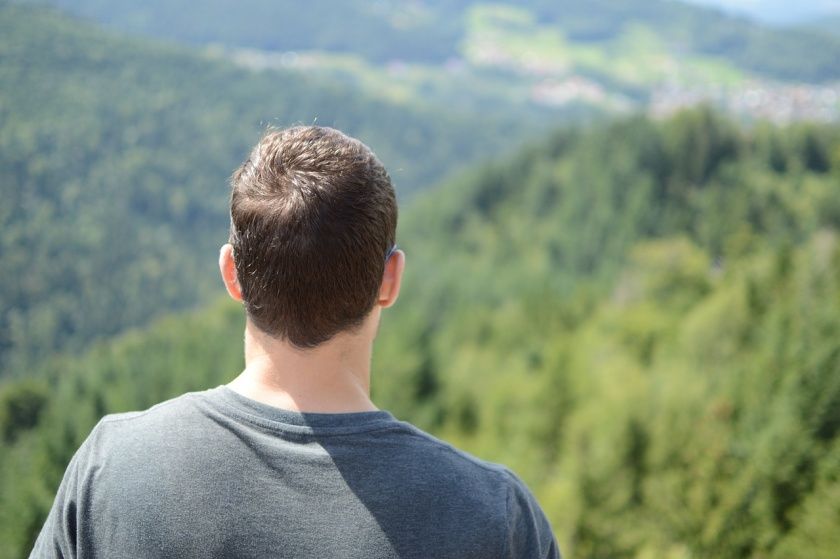 Blick auf Schwarzwald