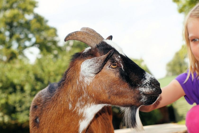 Tierpark Bretten