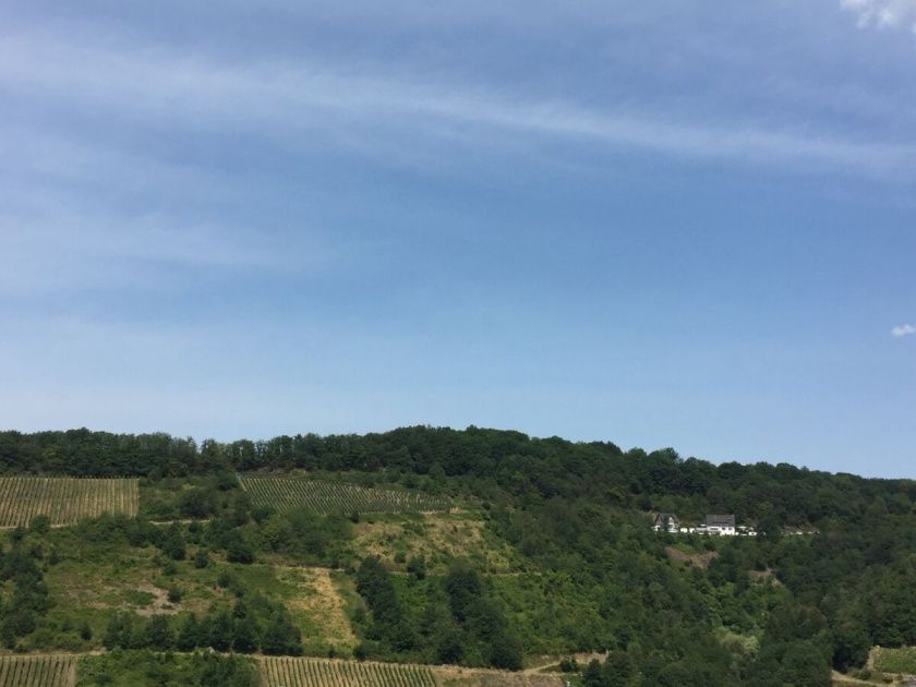 Ferienwohnung Panoramablick