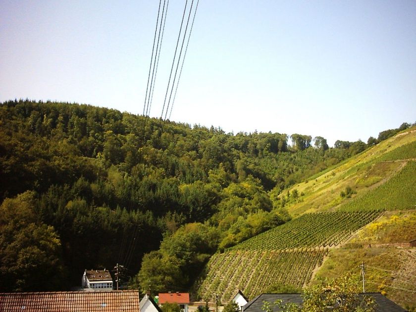 Ferienwohnung Zur Burg