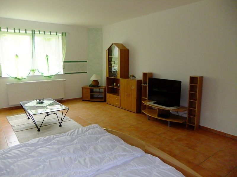 Schlaf/Wohnzimmer Ferienwohnung