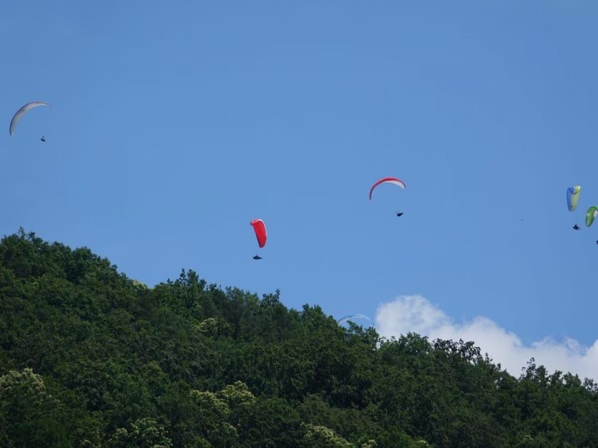 Ferienwohnungen im Pfälzer Wald