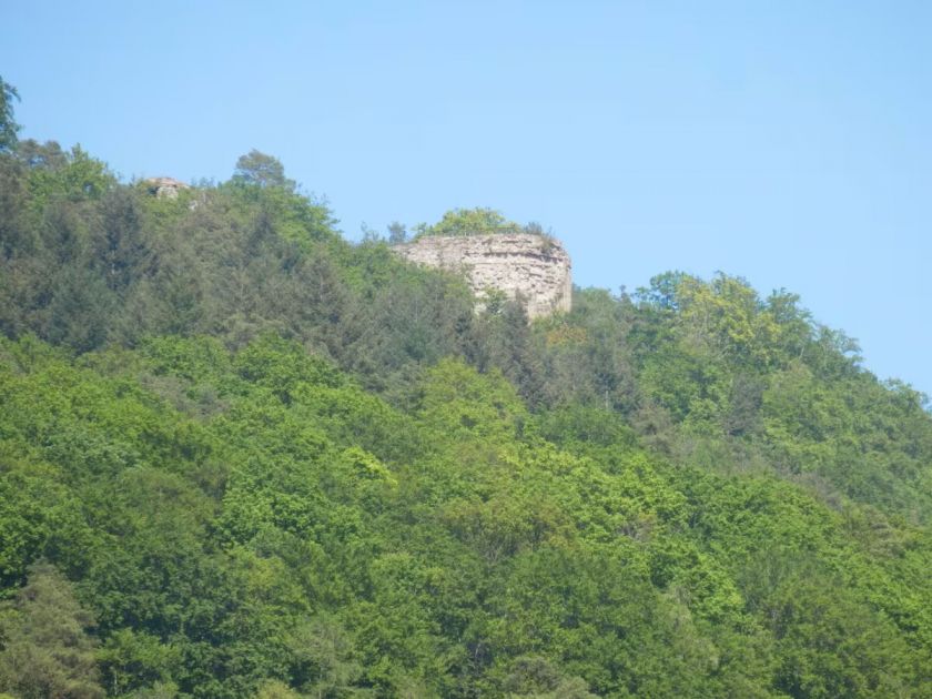 Ferienwohnungen im Pfälzer Wald