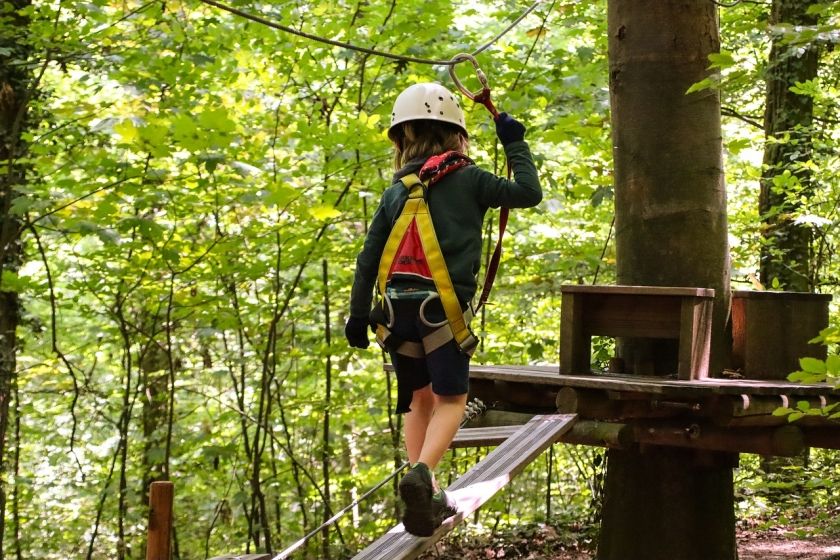 Abenteuer im Wald