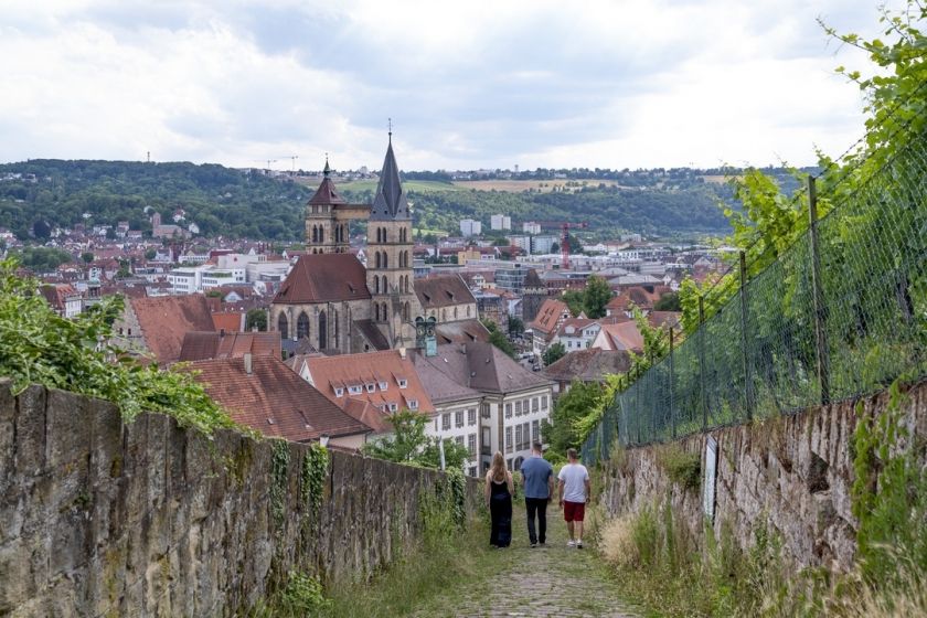 Weinlagen an der Esslinger Burg