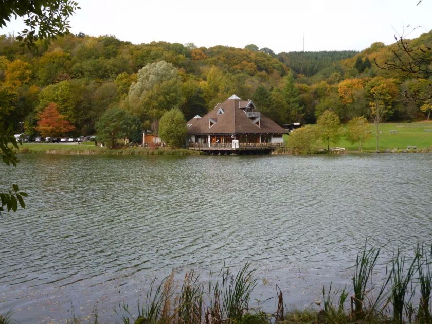 Ferienhaus Waldsee