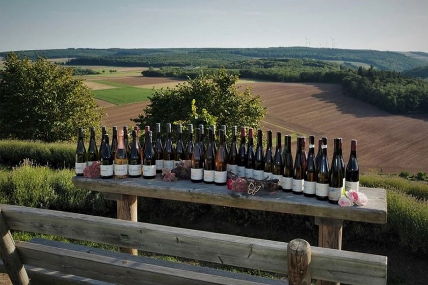 Event Location Kleines Rheinhessen im Weingut Seyberth