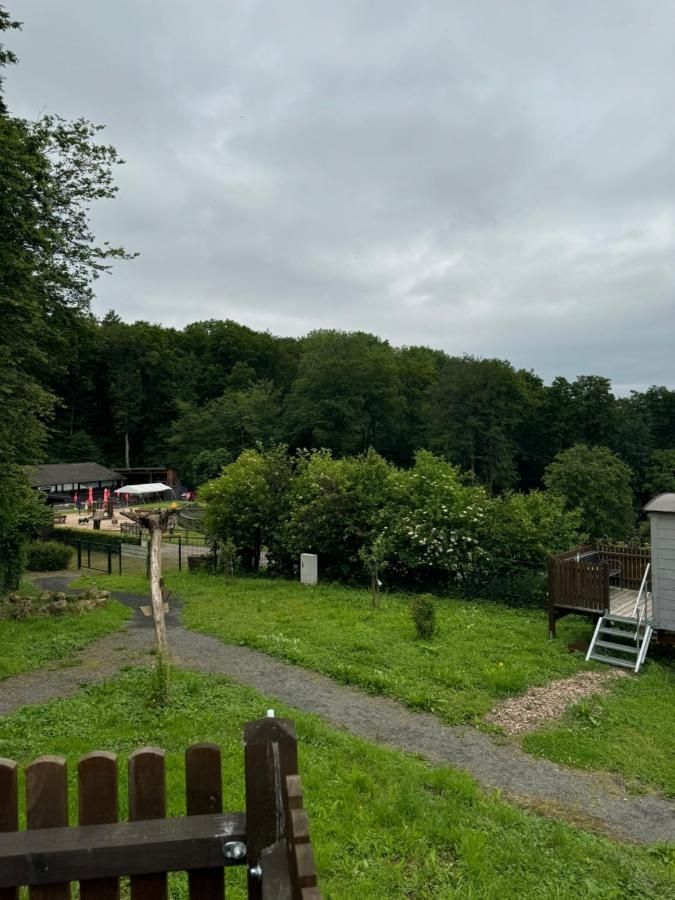 Schäferkarren im Adler- und Wolfspark Kasselburg