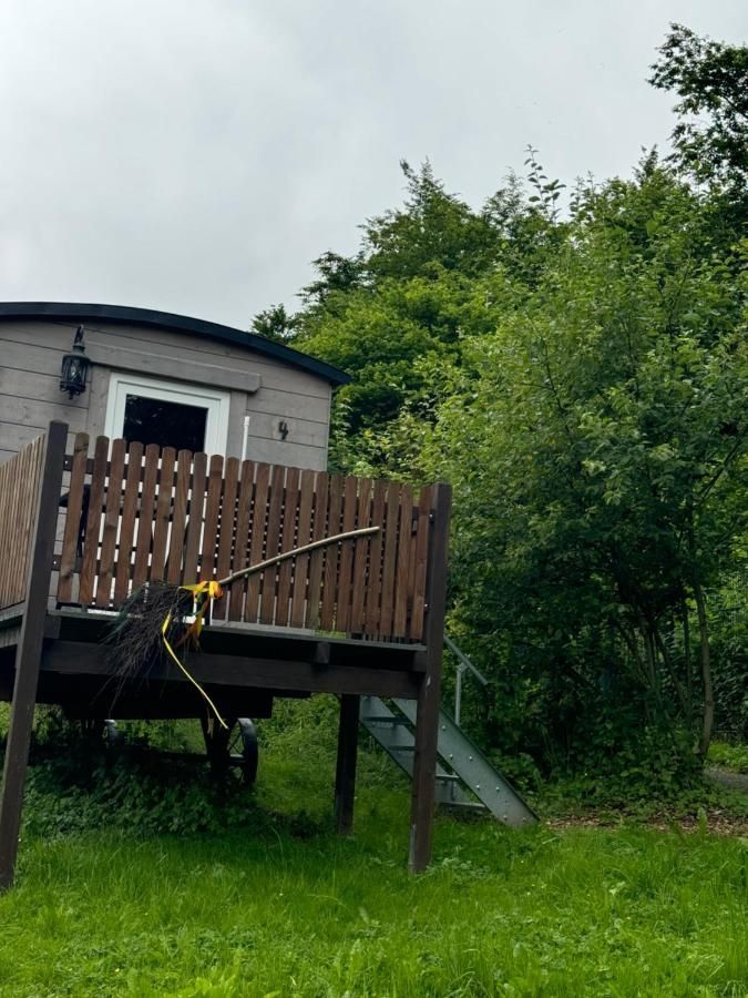 Schäferkarren im Adler- und Wolfspark Kasselburg