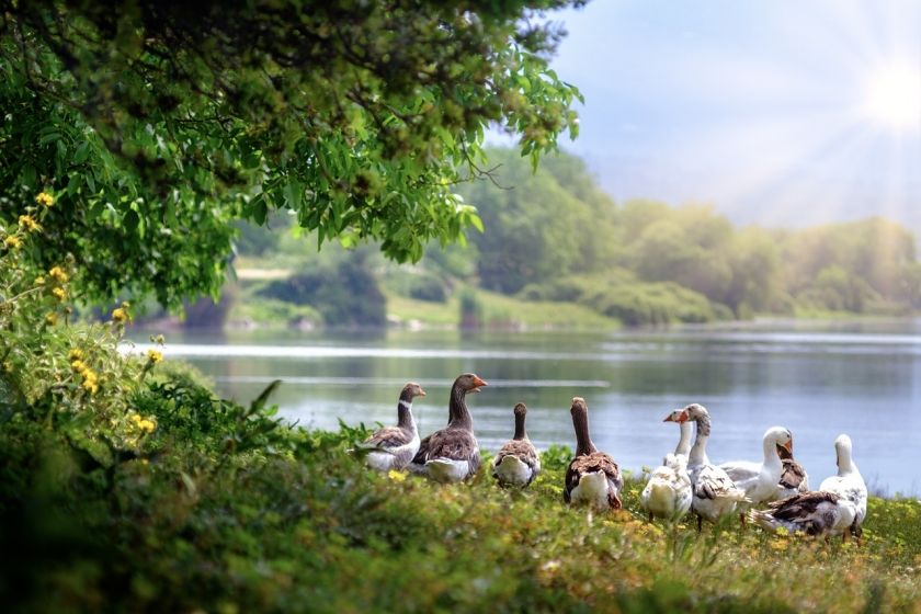 Klostersee-Park