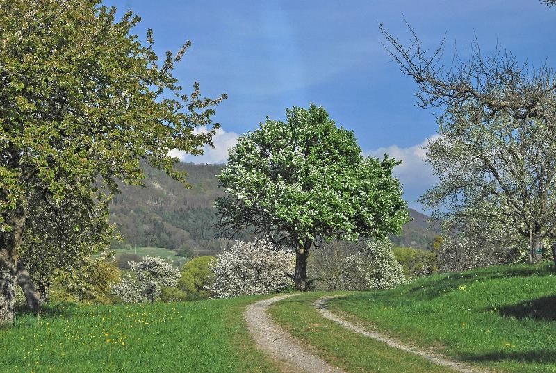 Ferienwohnungen beim Imker