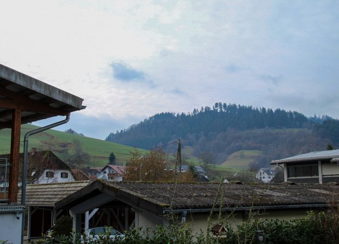 Ferienwohnung Sterzl mit Terrasse im Münstertal