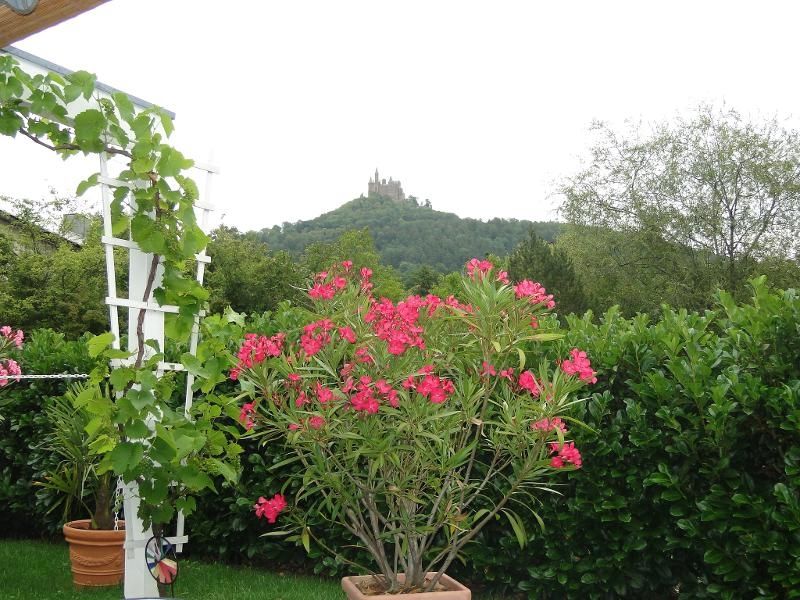 Blick zur Burg