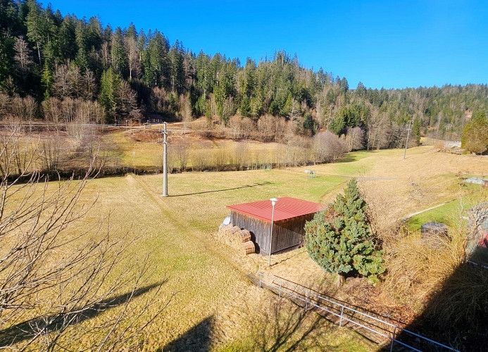 Ferienwohnung Schwarzwaldsegen mit Balkon