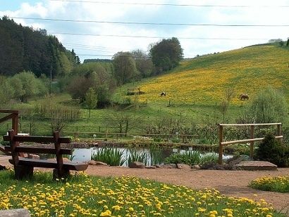 Daumsmühle - Ferienbauernhof  Vesperstube & Biergarten