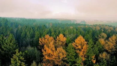 Urlaub in Biberach an der Riß