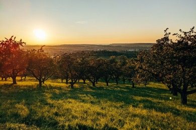 Hotels, Campingplätze und Ferienwohnungen in Mössingen