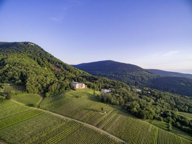 Weinfest der Südlichen Weinstrasse