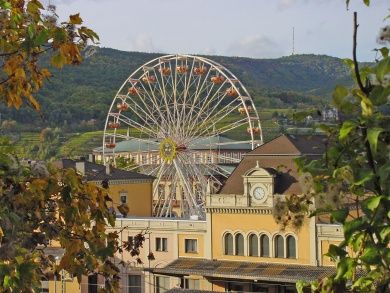 Deutsches Weinlesefest