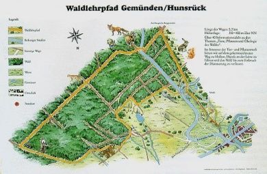 Der Waldlehrpfad in Gemünden