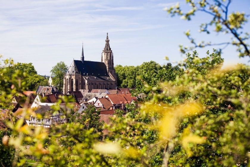 Der Glan-Blies-Weg - Vom Pfälzer Bergland bis nach Frankreich