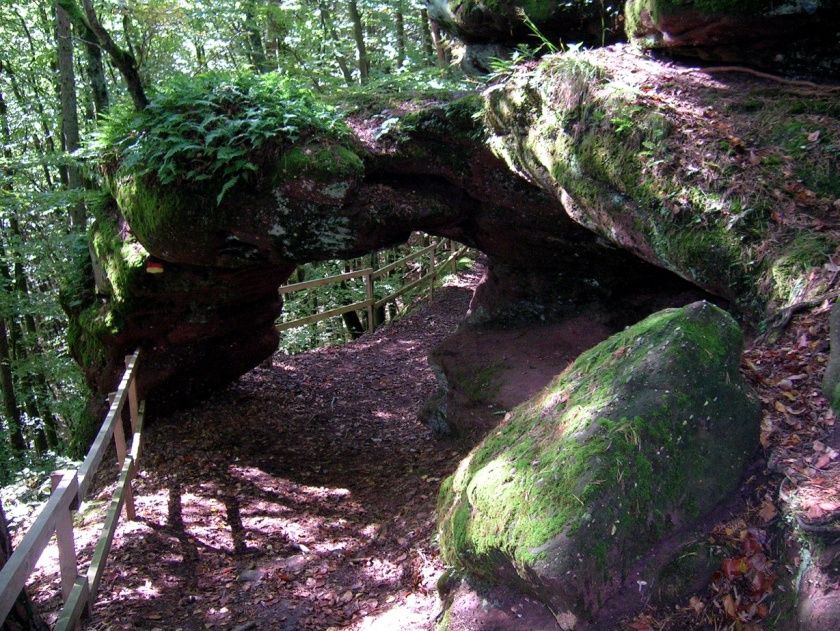 Premiumwanderweg Felsenwald Pirmasens 