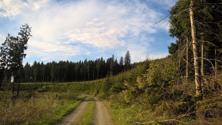 Rothaarsteig-Spur Oberhundemer Bergtour