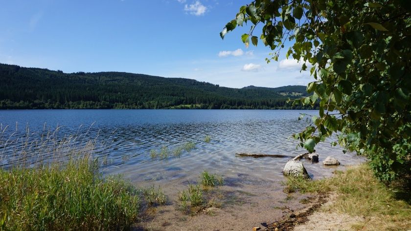 Schluchsee Jägersteig