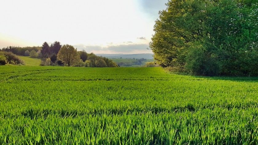 Vitaltour Schlossweg