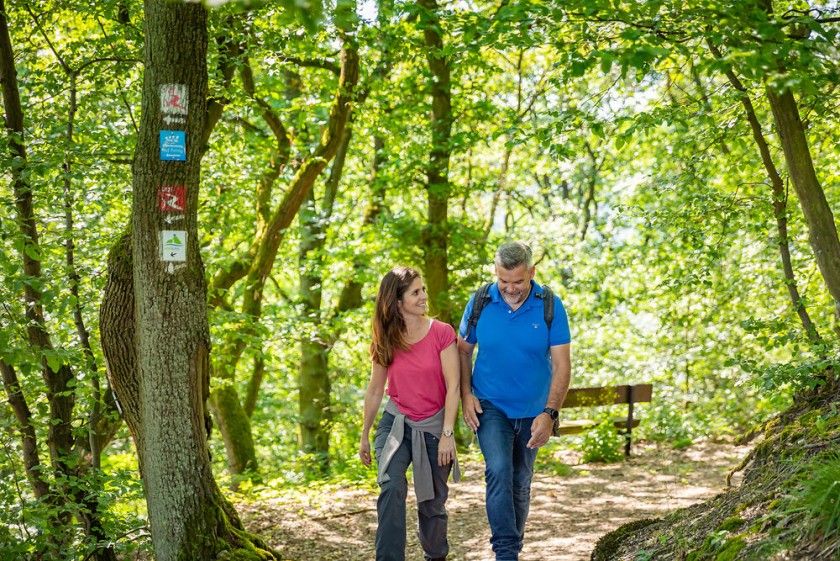 Wanderweg Breisiger Ländchen 