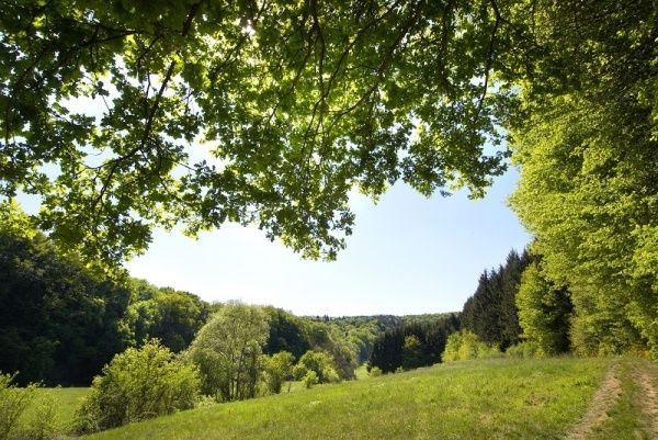 Westerwaldsteig - von Herborn nach Bad Hönningen