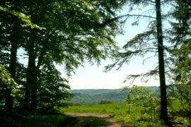 Mosel Camino Pilgerweg Koblenz nach Trier