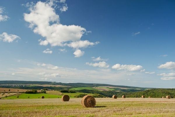 Wandern in der Verbandsgemeinde Kell am See