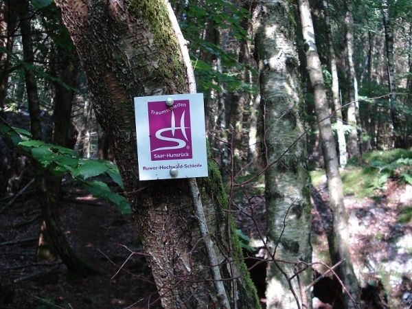 Traumschleife „Ruwer-Hochwald Schleife“