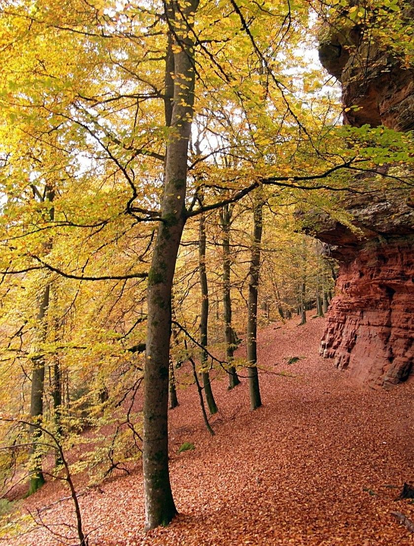 Rodalber Felsenwanderweg